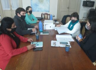 Reunión de la Comisión de Género y Diversidad