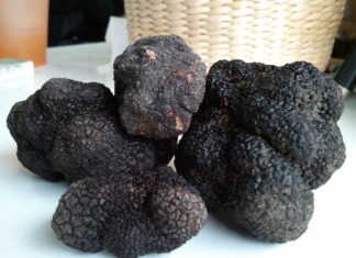 El Concejo Deliberante declaró de Interés Comunitario y Turístico la producción de trufas