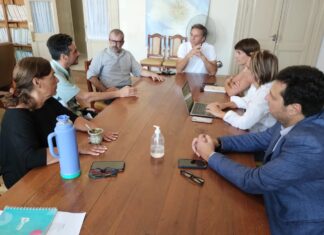 Reunión de la Comisión de Salud con el Dr. Maraschio
