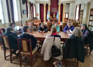 Reunión del Consejo de Arbolado Público