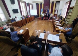 Alumnos y docentes del Instituto Palmiro Bogliano presentaron un trabajo de investigación en el Concejo Deliberante