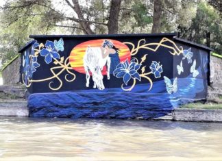 El Concejo Deliberante declaró de Interés Comunitario y Cultural la realización del mural en el Balneario Municipal