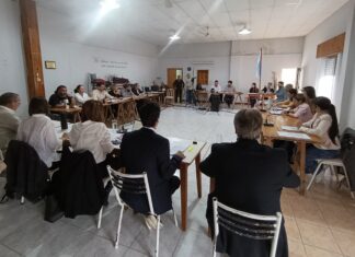 Quinta Sesión Ordinaria: El Concejo Deliberante sesionó en Chillar